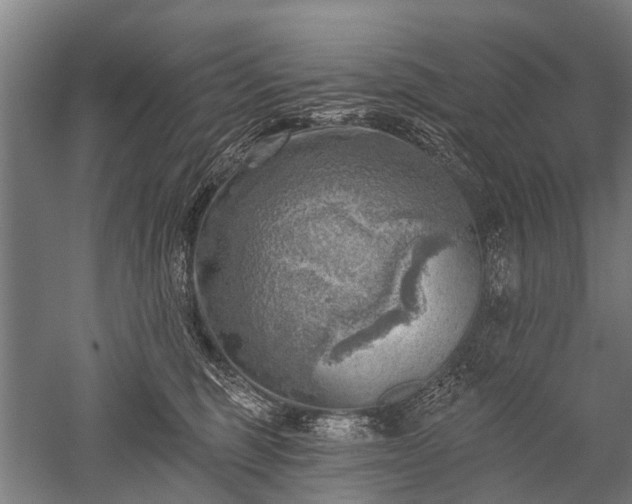 X0000052570375200507081708