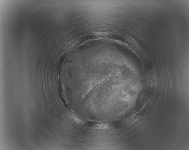 X0000052570377200507081708