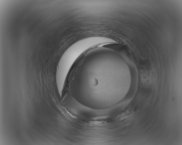 X0000052570380200507081708