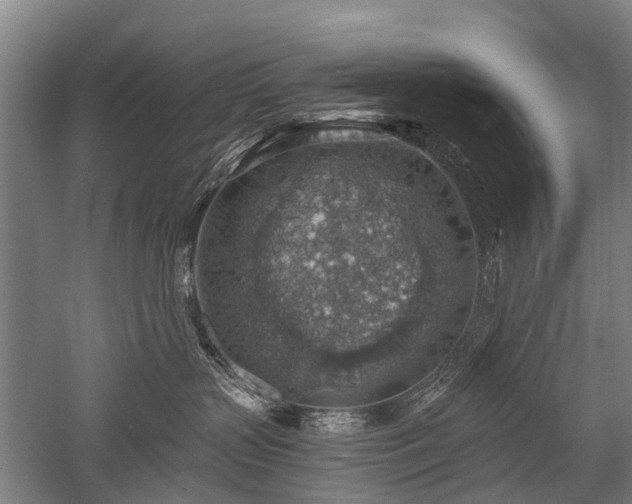 X0000052570383200507081708