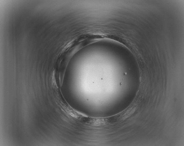 X0000052570384200507081708