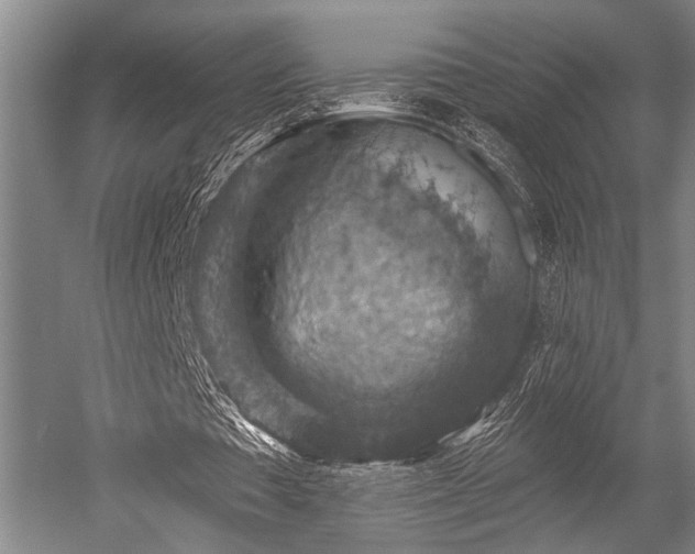 X0000052570385200507081707