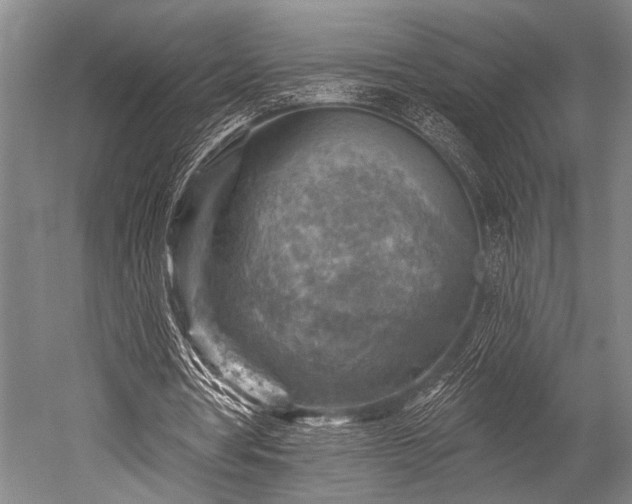 X0000052570386200507081707