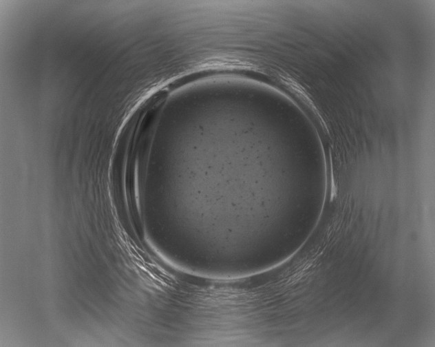 X0000052570387200507081707