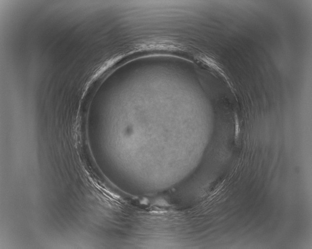 X0000052570388200507081707