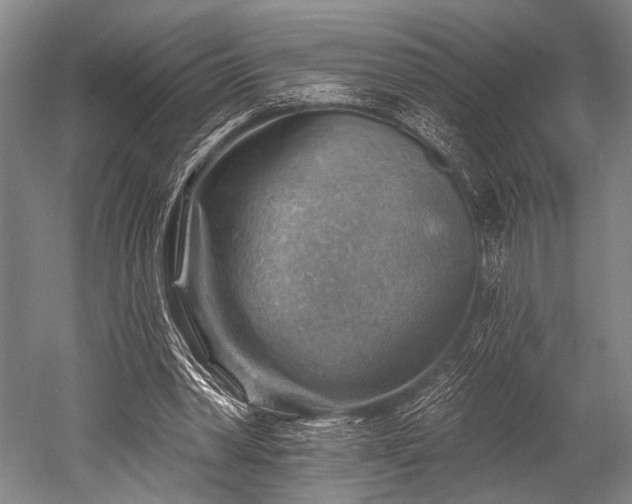 X0000052570390200507081707