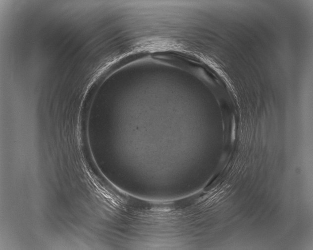 X0000052570391200507081707