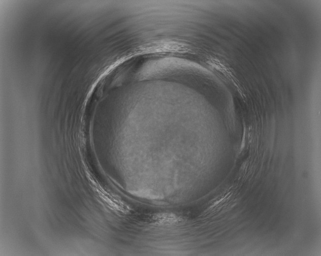 X0000052570392200507081707