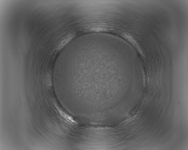 X0000052570393200507081707