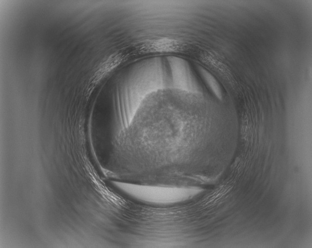 X0000052570394200507081707