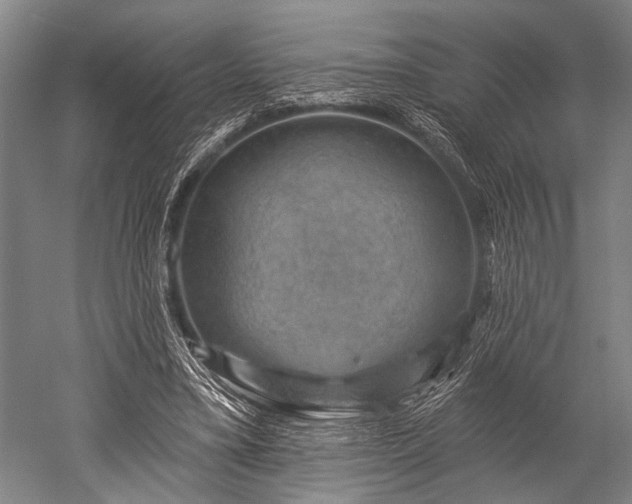 X0000052570395200507081707