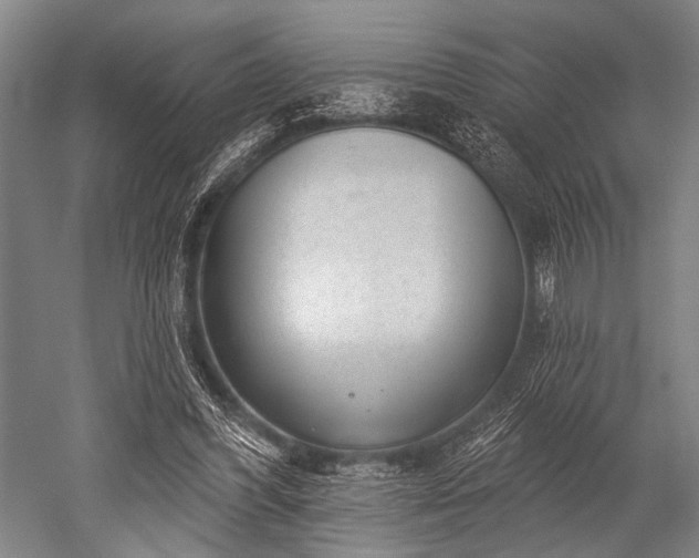 X0000052570396200507081707