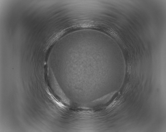 X0000052570397200507081707