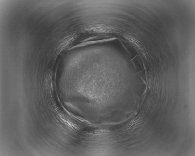 X0000052570398200507081707