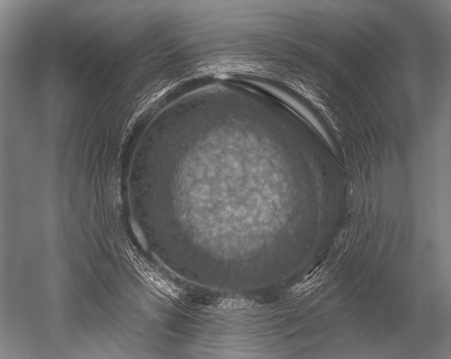 X0000052570399200507081707