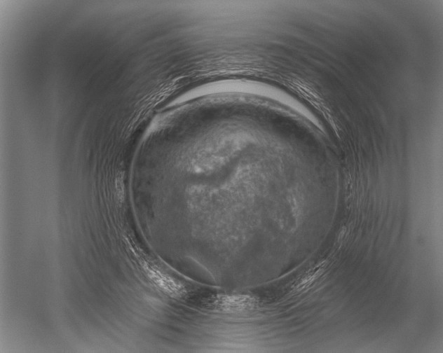 X0000052570401200507081707