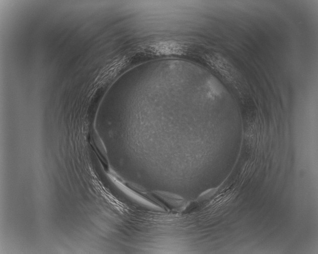 X0000052570402200507081707