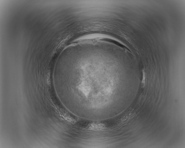 X0000052570403200507081707