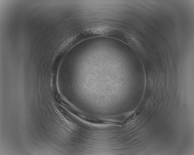 X0000052570404200507081707