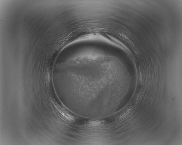 X0000052570405200507081707