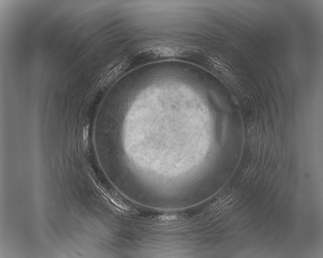 X0000052570406200507081707