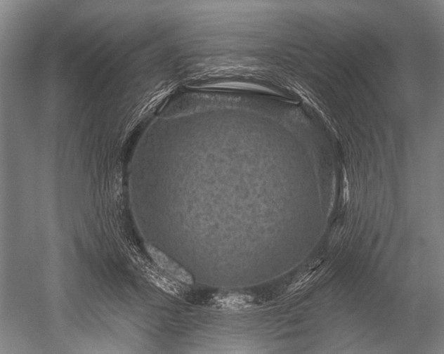 X0000052570407200507081707