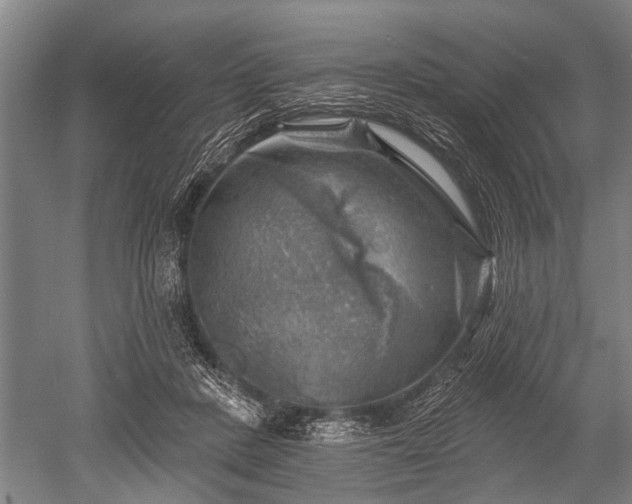 X0000052570408200507081707