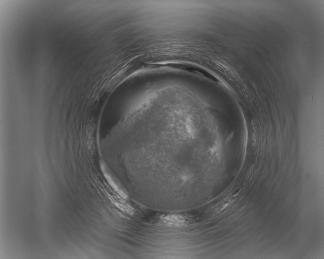 X0000052570409200507081707