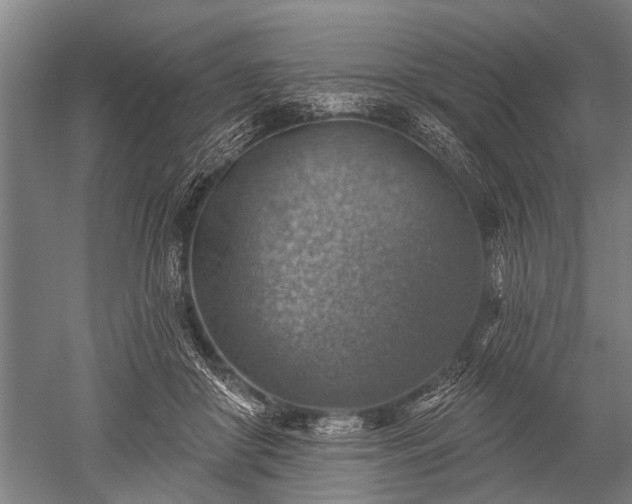 X0000052570410200507081707