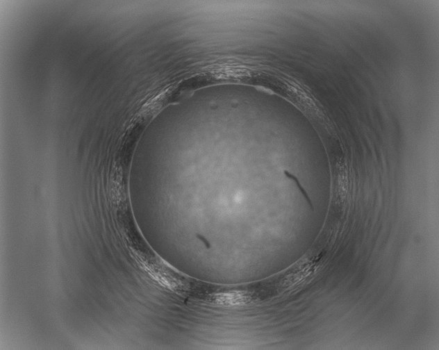 X0000052570411200507081707