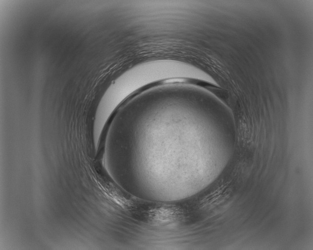 X0000052570412200507081707