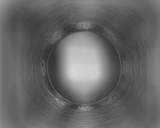 X0000052570414200507081707