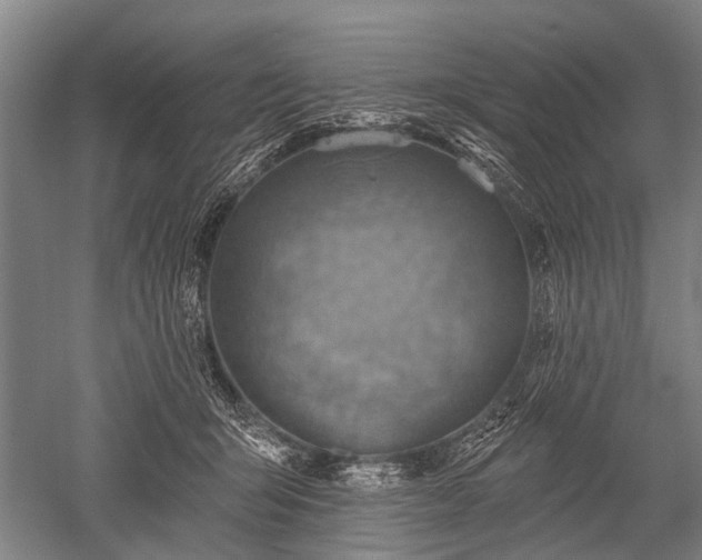 X0000052570415200507081707