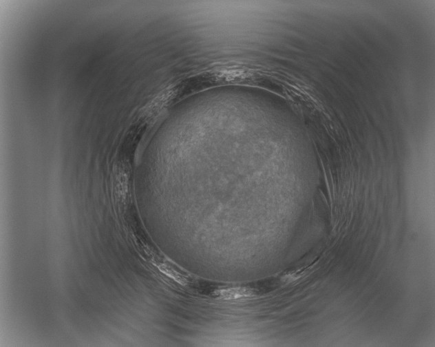 X0000052570417200507081707