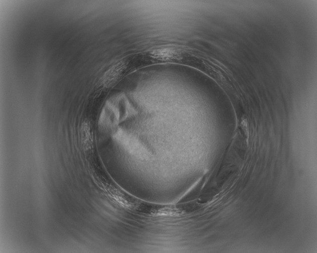 X0000052570420200507081707