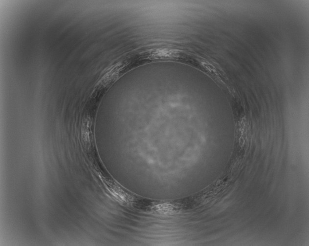 X0000052570423200507081707