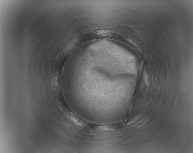 X0000052570424200507081707