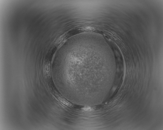 X0000052570425200507081707