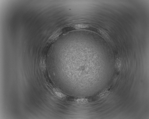 X0000052570426200507081706