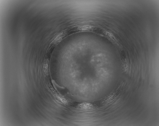 X0000052570427200507081706