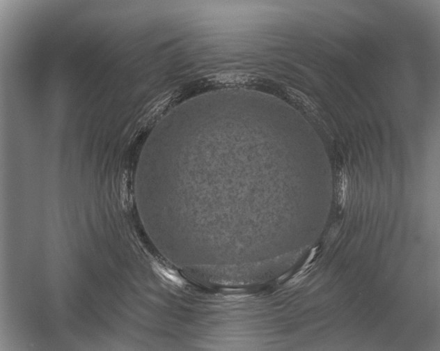 X0000052570428200507081706