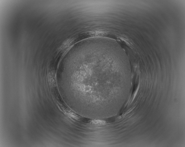 X0000052570429200507081706