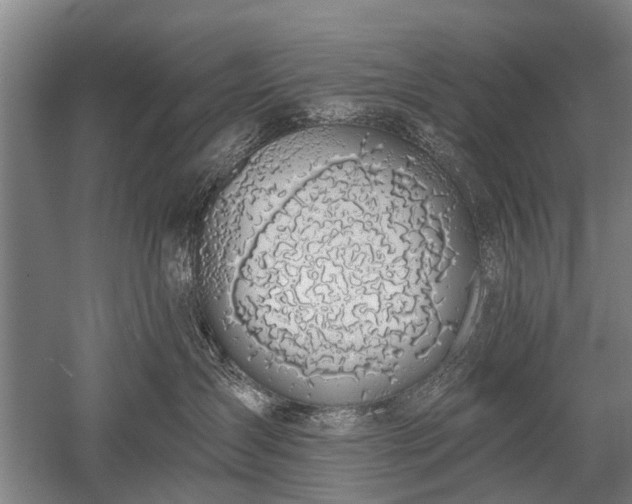 X0000052570431200507081706