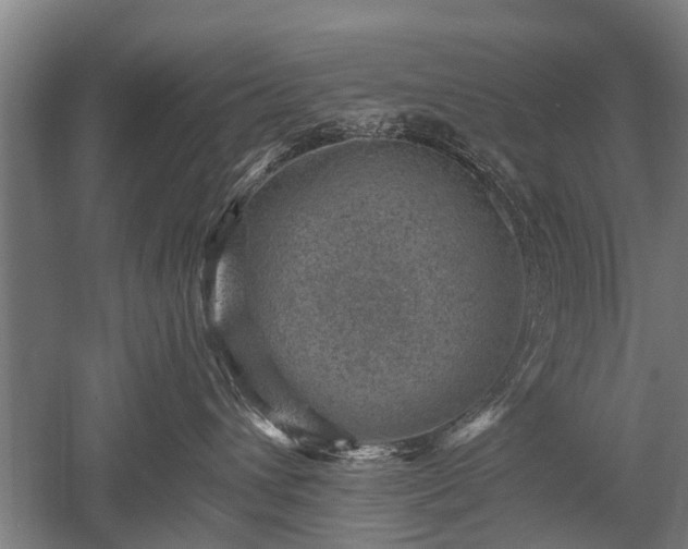 X0000052570432200507081706