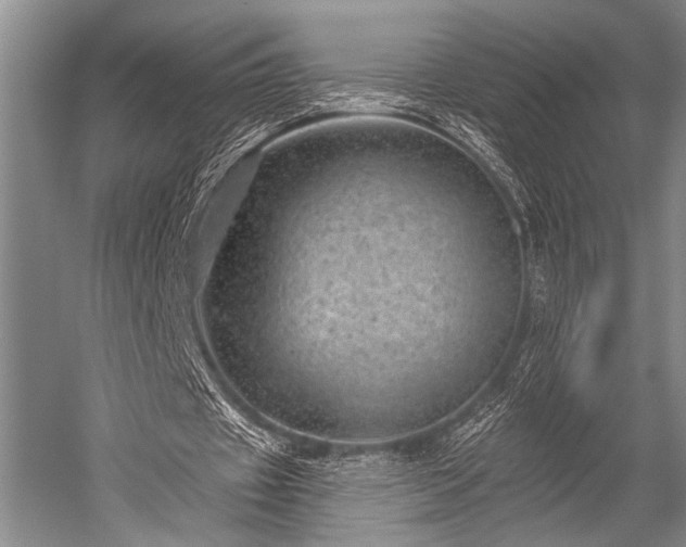 X0000052570433200507081706