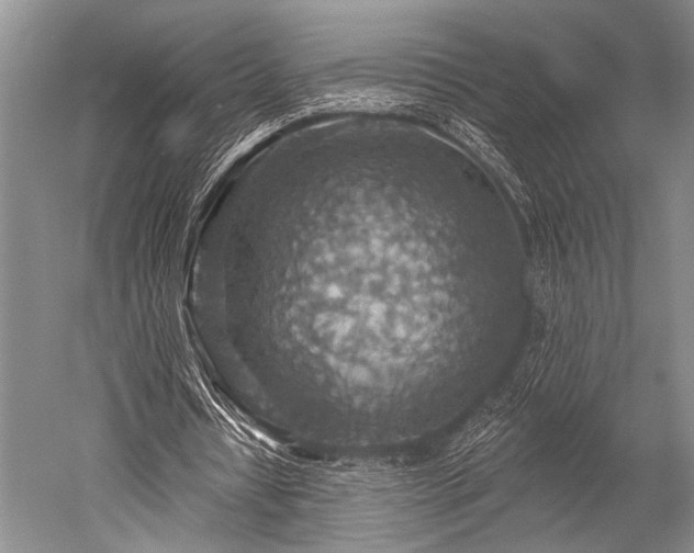 X0000052570434200507081706