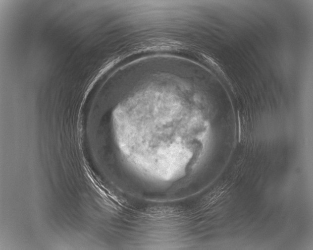 X0000052570435200507081706