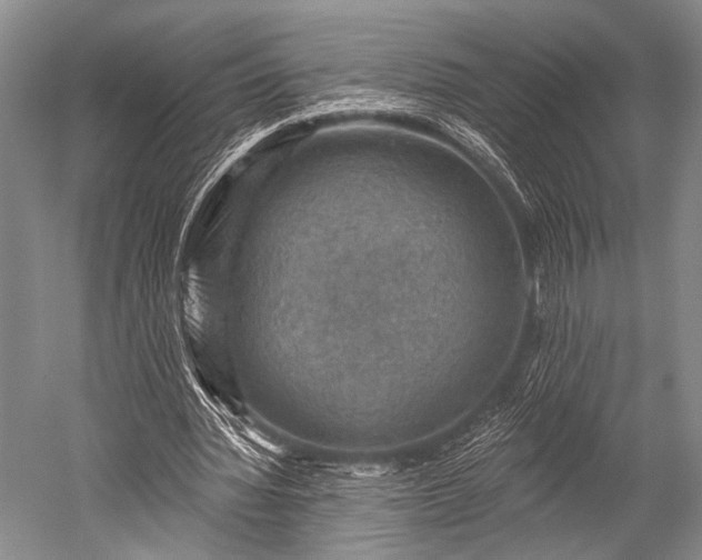 X0000052570436200507081706