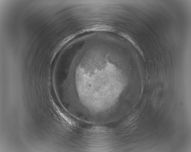 X0000052570437200507081706