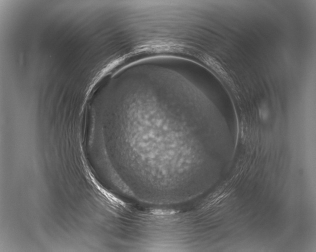 X0000052570438200507081706